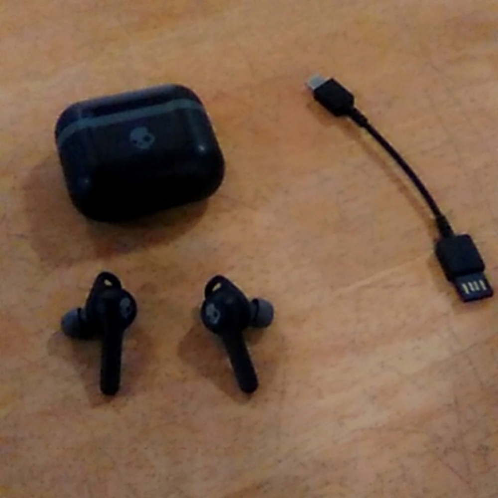Skullcandy Indy Evo True Wireless Earbuds